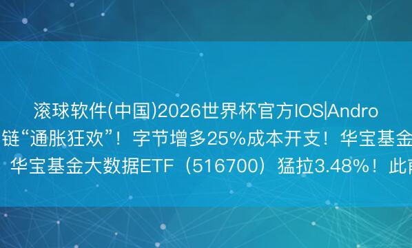 滚球软件(中国)2026世界杯官方IOS|Android手机app下载 AI算力链“通胀狂欢”！字节增多25%成本开支！华宝基金大数据ETF（516700）猛拉3.48%！此前2日流通吸金！