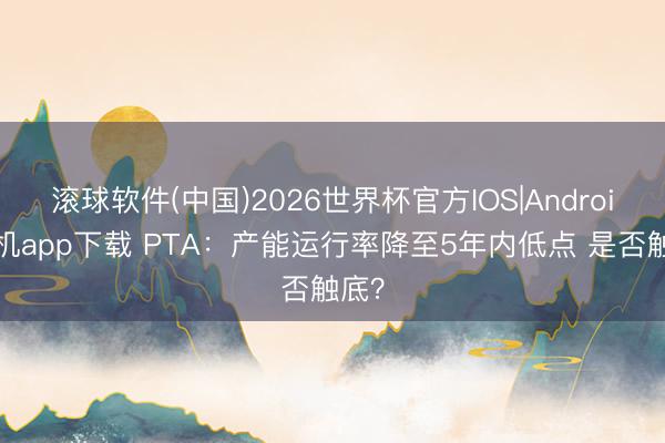 滚球软件(中国)2026世界杯官方IOS|Android手机app下载 PTA：产能运行率降至5年内低点 是否触底？