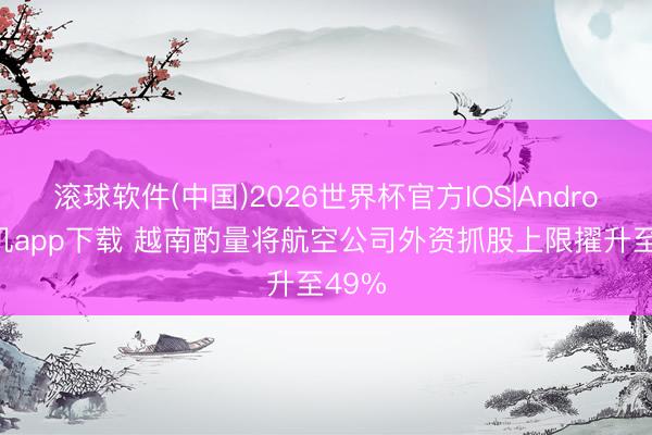 滚球软件(中国)2026世界杯官方IOS|Android手机app下载 越南酌量将航空公司外资抓股上限擢升至49%