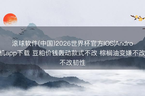 滚球软件(中国)2026世界杯官方IOS|Android手机app下载 豆粕价钱轰动款式不改 棕榈油变嫌不改韧性