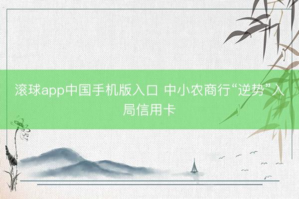 滚球app中国手机版入口 中小农商行“逆势”入局信用卡