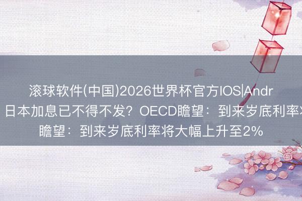 滚球软件(中国)2026世界杯官方IOS|Android手机app下载 日本加息已不得不发？OECD瞻望：到来岁底利率将大幅上升至2%