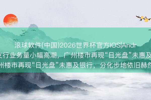 滚球软件(中国)2026世界杯官方IOS|Android手机app下载 仅部分支行业务量小幅高潮，广州楼市再现“日光盘”未惠及银行，分化步地依旧赫然
