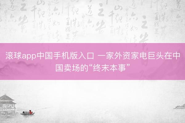 滚球app中国手机版入口 一家外资家电巨头在中国卖场的“终末本事”