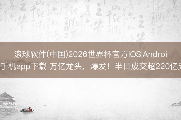 滚球软件(中国)2026世界杯官方IOS|Android手机app下载 万亿龙头，爆发！半日成交超220亿元