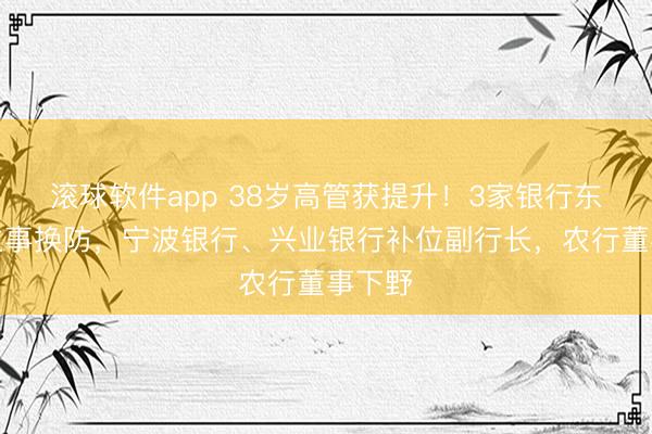 滚球软件app 38岁高管获提升！3家银行东说念主事换防，宁波银行、兴业银行补位副行长，农行董事下野