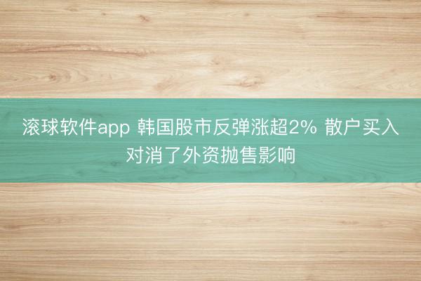 滚球软件app 韩国股市反弹涨超2% 散户买入对消了外资抛售影响