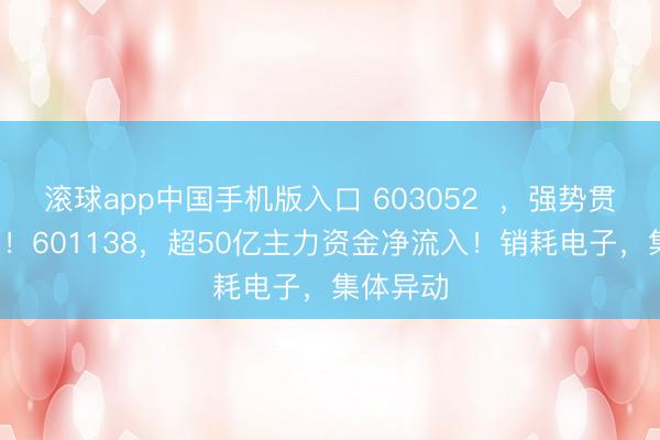滚球app中国手机版入口 603052  ，强势贯穿2涨停！601138，超50亿主力资金净流入！销耗电子，集体异动