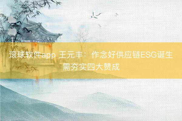 滚球软件app 王元丰：作念好供应链ESG诞生需夯实四大赞成
