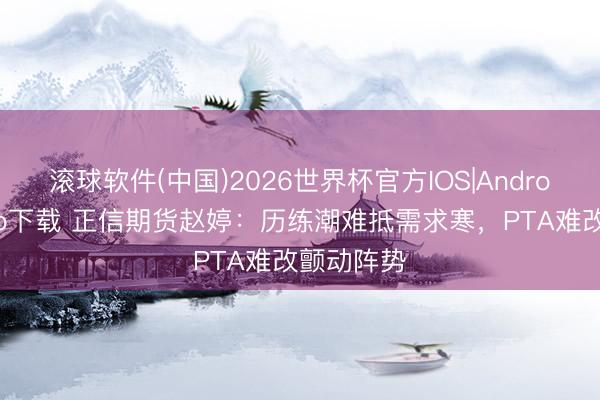 滚球软件(中国)2026世界杯官方IOS|Android手机app下载 正信期货赵婷：历练潮难抵需求寒，PTA难改颤动阵势