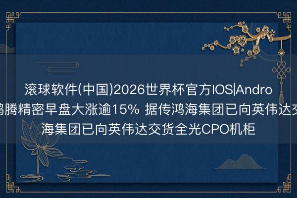 滚球软件(中国)2026世界杯官方IOS|Android手机app下载 鸿腾精密早盘大涨逾15% 据传鸿海集团已向英伟达交货全光CPO机柜