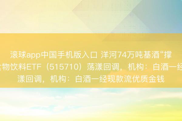 滚球app中国手机版入口 洋河74万吨基酒“撑腰”！华宝基金食物饮料ETF（515710）荡漾回调，机构：白酒一经现款流优质金钱