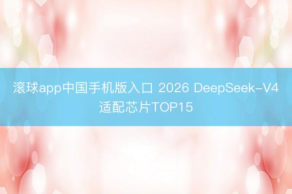 滚球app中国手机版入口 2026 DeepSeek-V4适配芯片TOP15