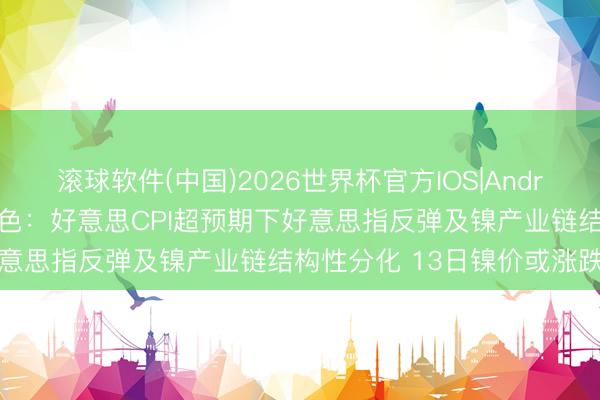 滚球软件(中国)2026世界杯官方IOS|Android手机app下载 长江有色：好意思CPI超预期下好意思指反弹及镍产业链结构性分化 13日镍价或涨跌不大
