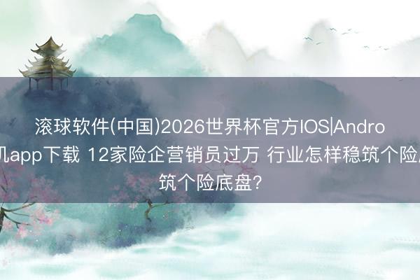滚球软件(中国)2026世界杯官方IOS|Android手机app下载 12家险企营销员过万 行业怎样稳筑个险底盘？