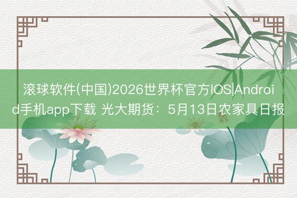 滚球软件(中国)2026世界杯官方IOS|Android手机app下载 光大期货：5月13日农家具日报