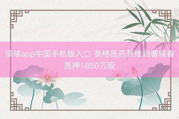 滚球app中国手机版入口 泰格医药获推动曹晓春质押1850万股