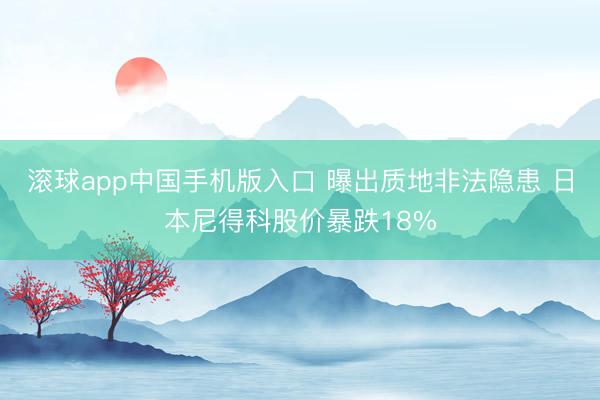 滚球app中国手机版入口 曝出质地非法隐患 日本尼得科股价暴跌18%