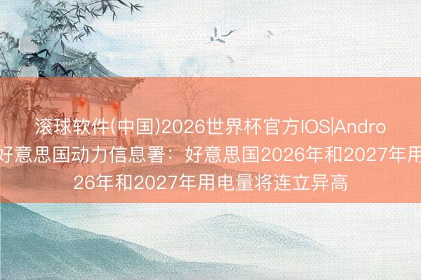 滚球软件(中国)2026世界杯官方IOS|Android手机app下载 好意思国动力信息署：好意思国2026年和2027年用电量将连立异高
