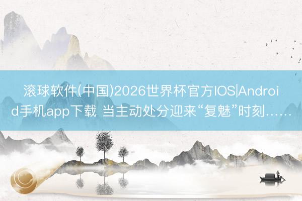 滚球软件(中国)2026世界杯官方IOS|Android手机app下载 当主动处分迎来“复魅”时刻……