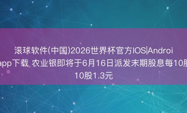 滚球软件(中国)2026世界杯官方IOS|Android手机app下载 农业银即将于6月16日派发末期股息每10股1.3元