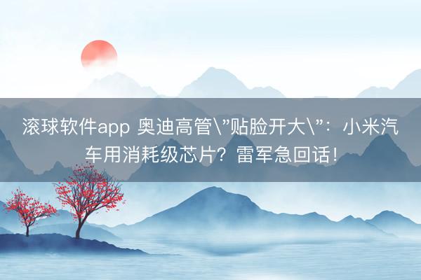 滚球软件app 奥迪高管