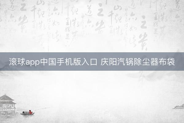 滚球app中国手机版入口 庆阳汽锅除尘器布袋