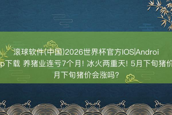 滚球软件(中国)2026世界杯官方IOS|Android手机app下载 养猪业连亏7个月! 冰火两重天! 5月下旬猪价会涨吗?