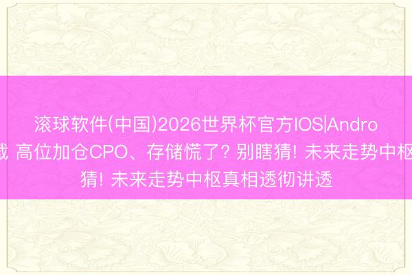 滚球软件(中国)2026世界杯官方IOS|Android手机app下载 高位加仓CPO、存储慌了? 别瞎猜! 未来走势中枢真相透彻讲透