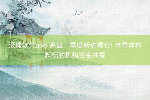滚球软件app 高盛一季度新进握仓! 半导体材料标的机构资金共振
