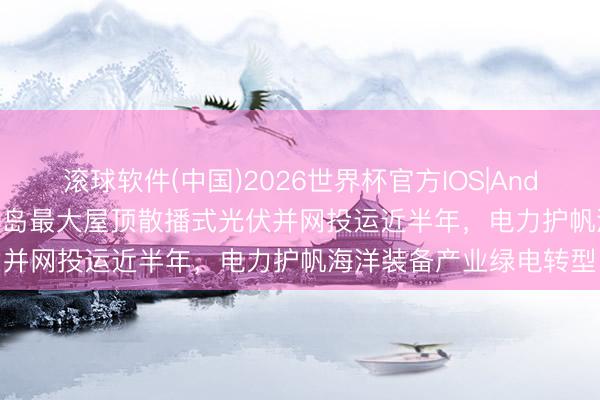 滚球软件(中国)2026世界杯官方IOS|Android手机app下载 长兴岛最大屋顶散播式光伏并网投运近半年，电力护帆海洋装备产业绿电转型