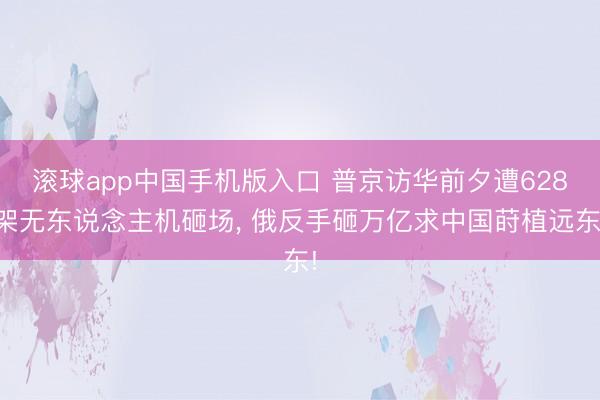 滚球app中国手机版入口 普京访华前夕遭628架无东说念主机砸场， 俄反手砸万亿求中国莳植远东!