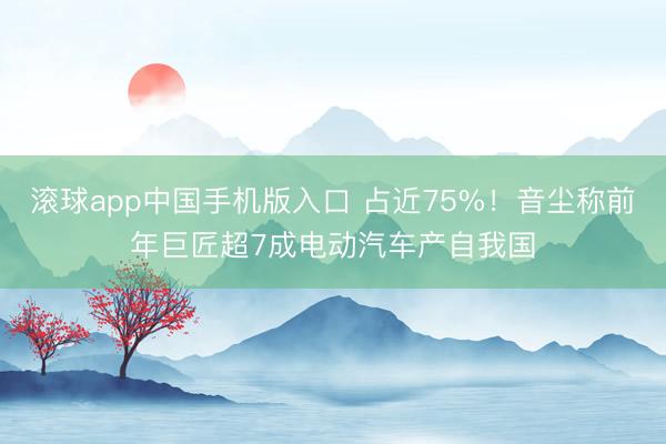 滚球app中国手机版入口 占近75%！音尘称前年巨匠超7成电动汽车产自我国