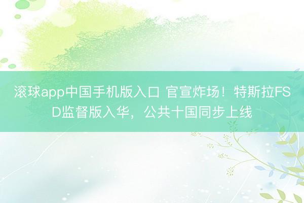 滚球app中国手机版入口 官宣炸场！特斯拉FSD监督版入华，公共十国同步上线