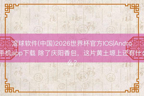 滚球软件(中国)2026世界杯官方IOS|Android手机app下载 除了庆阳香包，这片黄土塬上还有什么？