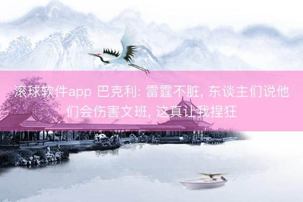 滚球软件app 巴克利: 雷霆不脏， 东谈主们说他们会伤害文班， 这真让我捏狂