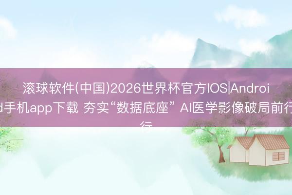 滚球软件(中国)2026世界杯官方IOS|Android手机app下载 夯实“数据底座” AI医学影像破局前行