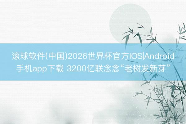 滚球软件(中国)2026世界杯官方IOS|Android手机app下载 3200亿联念念“老树发新芽”