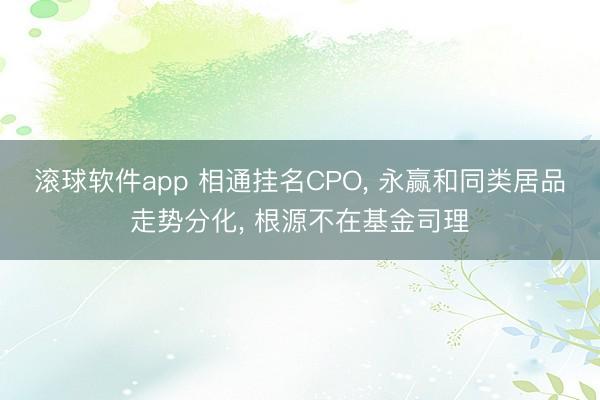 滚球软件app 相通挂名CPO， 永赢和同类居品走势分化， 根源不在基金司理