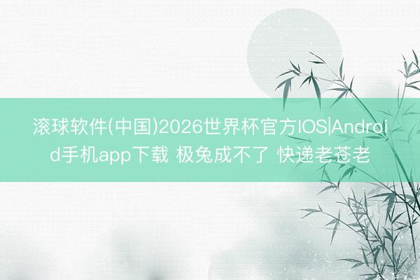 滚球软件(中国)2026世界杯官方IOS|Android手机app下载 极兔成不了 快递老苍老