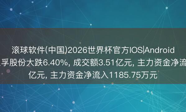 滚球软件(中国)2026世界杯官方IOS|Android手机app下载 三孚股份大跌6.40%， 成交额3.51亿元， 主力资金净流入1185.75万元