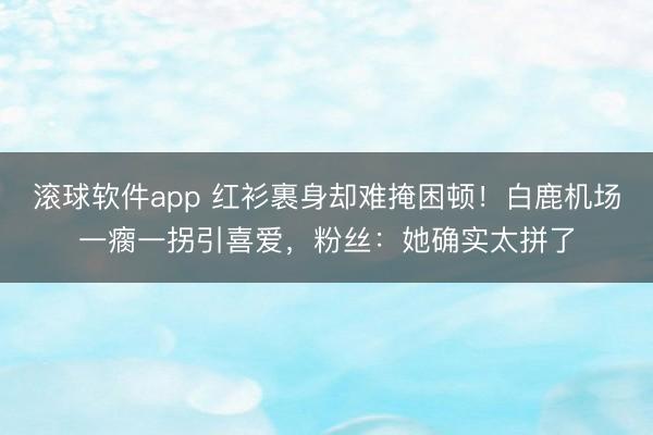 滚球软件app 红衫裹身却难掩困顿！白鹿机场一瘸一拐引喜爱，粉丝：她确实太拼了