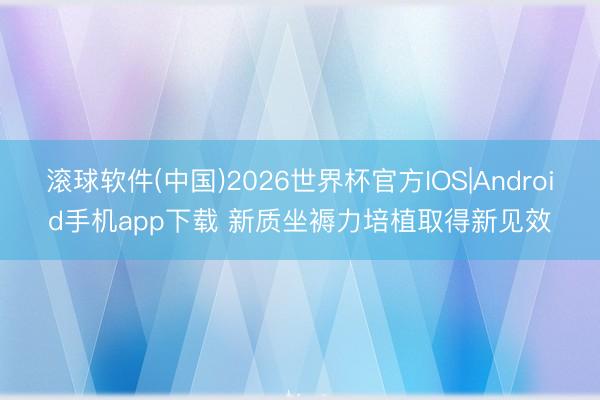 滚球软件(中国)2026世界杯官方IOS|Android手机app下载 新质坐褥力培植取得新见效