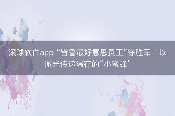 滚球软件app “皆鲁最好意思员工”徐胜军：以微光传递温存的“小蜜蜂”
