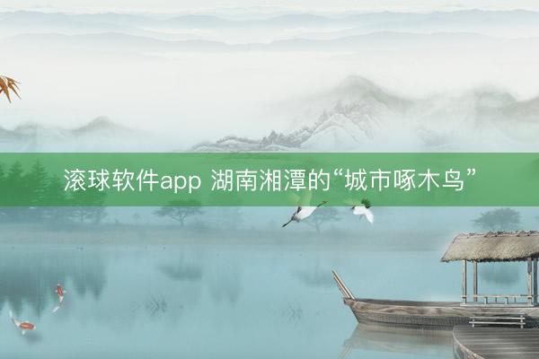 滚球软件app 湖南湘潭的“城市啄木鸟”