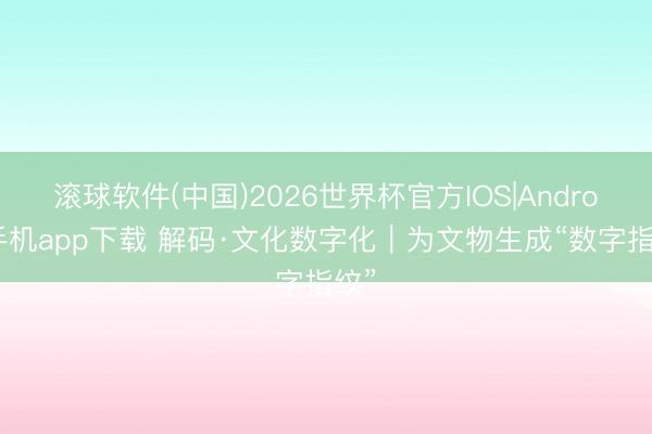 滚球软件(中国)2026世界杯官方IOS|Android手机app下载 解码·文化数字化｜为文物生成“数字指纹”