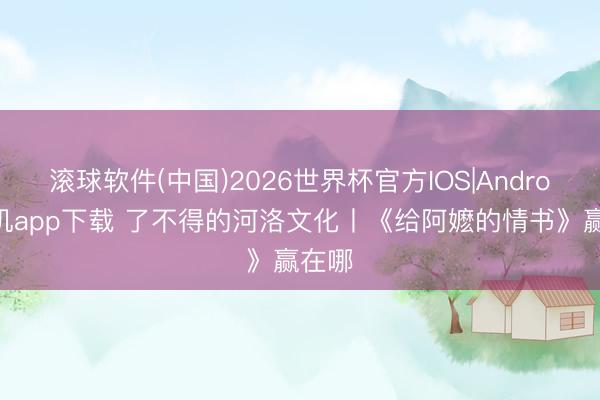 滚球软件(中国)2026世界杯官方IOS|Android手机app下载 了不得的河洛文化丨《给阿嬷的情书》赢在哪