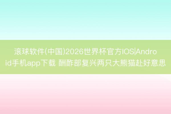 滚球软件(中国)2026世界杯官方IOS|Android手机app下载 酬酢部复兴两只大熊猫赴好意思