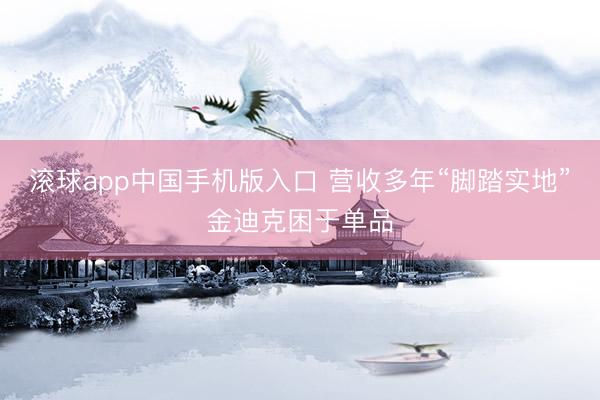 滚球app中国手机版入口 营收多年“脚踏实地”金迪克困于单品