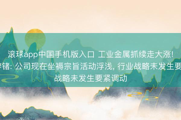 滚球app中国手机版入口 工业金属抓续走大涨! 驰宏锌锗: 公司现在坐褥宗旨活动浮浅， 行业战略未发生要紧调动